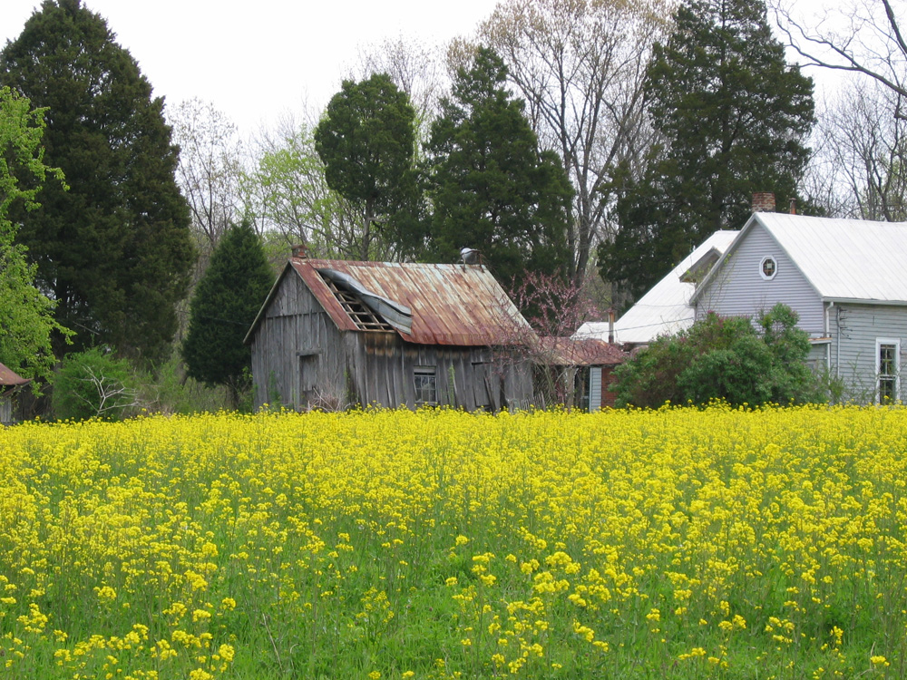 Henry Schnautz farm