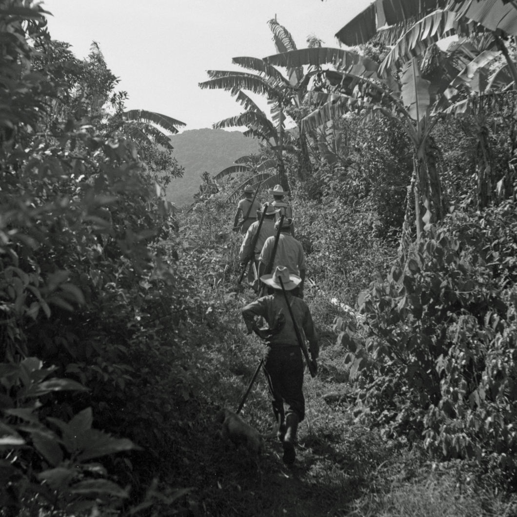 men hiking in single file through jungle