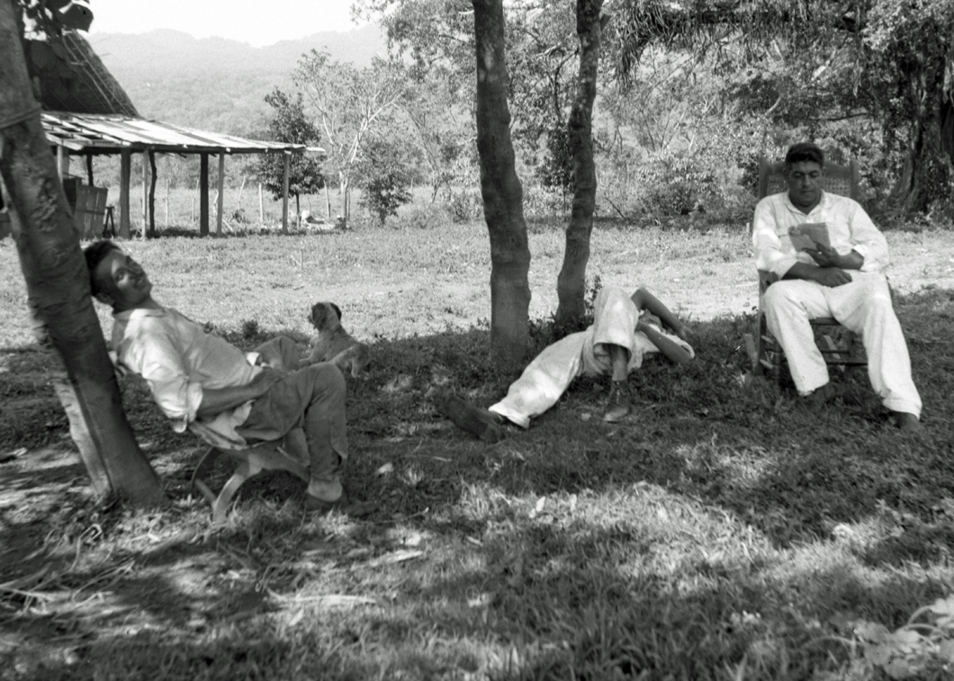 Resting outside on grass after eating