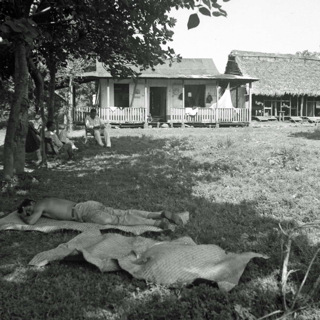 Resting outside on grass after eating